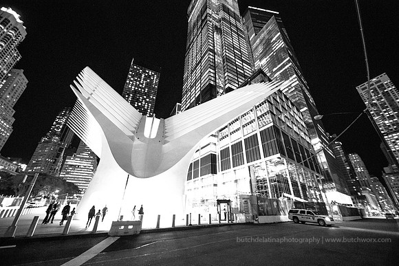 161008-World Trade Center, Oculus-EC4A6499