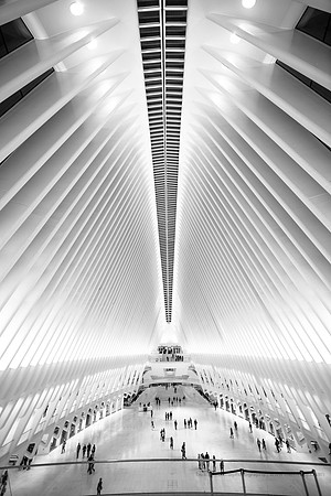 161008-World Trade Center, Oculus-EC4A6508