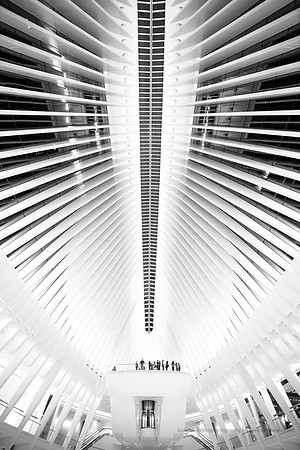 161008-World Trade Center, Oculus-EC4A6521