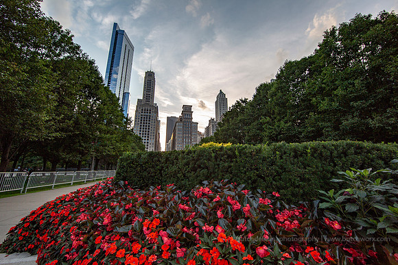 2018-0825-0827 Chicago-EC4A8427
