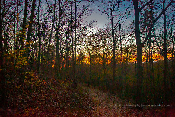 2018 Crowders Mountain-1115 Pinnacle Trail-EC4A0619