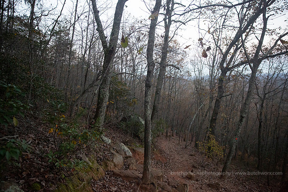 2018 Crowders Mountain-1115 Pinnacle Trail-EC4A0616