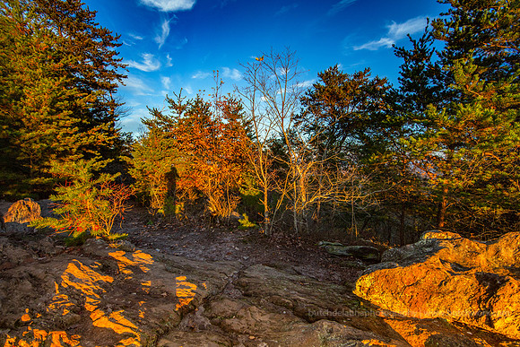 2018 Crowders Mountain-1115 Pinnacle Trail-EC4A0597