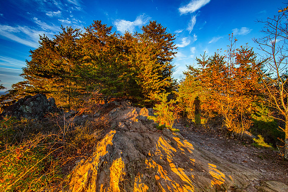 2018 Crowders Mountain-1115 Pinnacle Trail-EC4A0596