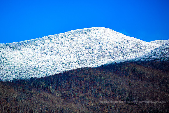 2018 Asheville-1128 Blue Ridge Parkway-EC4A0744
