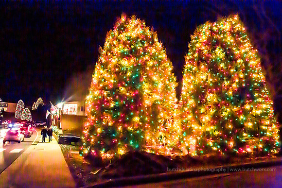 2018 Christmastown USA-1218 McAdenville-EC4A2482