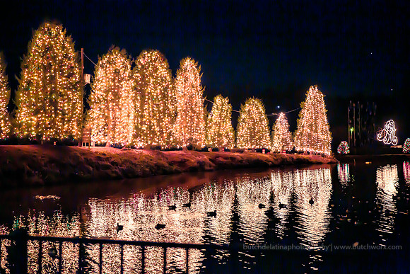 2018 Christmastown USA-1218 McAdenville-EC4A2486