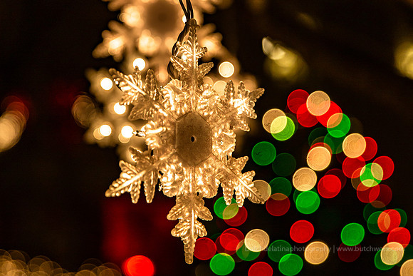 2018 Christmastown USA-1218 McAdenville-EC4A2558
