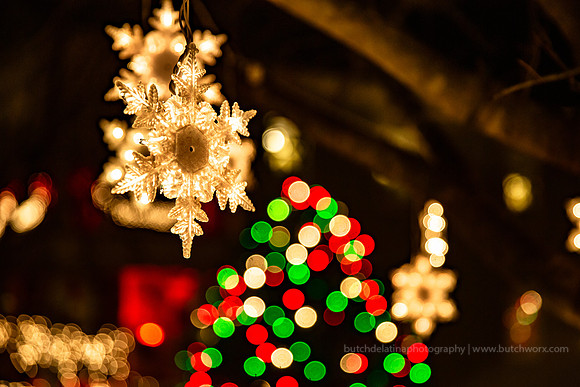 2018 Christmastown USA-1218 McAdenville-EC4A2560