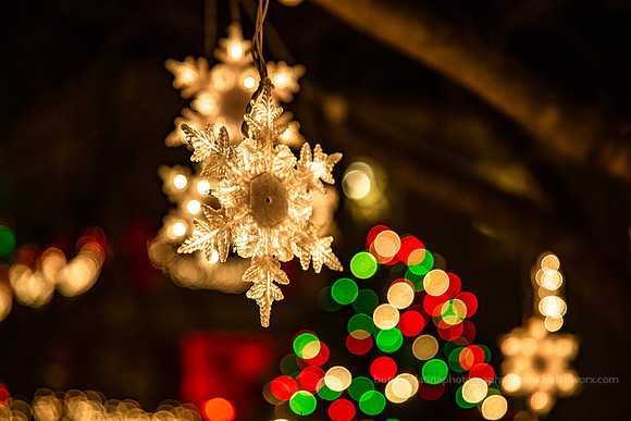 2018 Christmastown USA-1218 McAdenville-EC4A2561