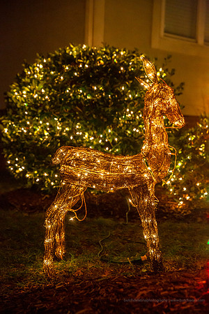 2018 Christmastown USA-1218 McAdenville-EC4A2574