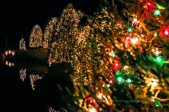 2018 Christmastown USA-1218 McAdenville-EC4A2575