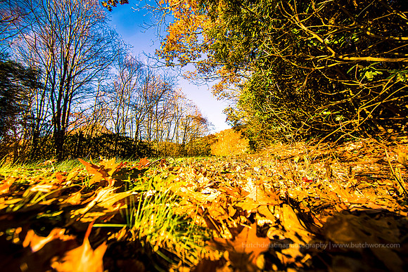 191101 Blue Ridge Parkway-Dreamway-EC4A6574